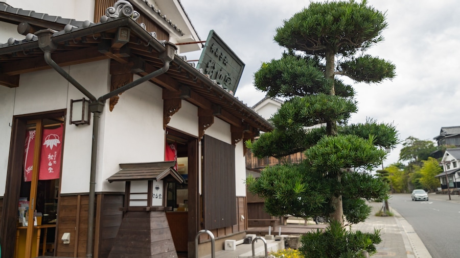 Kitsuki