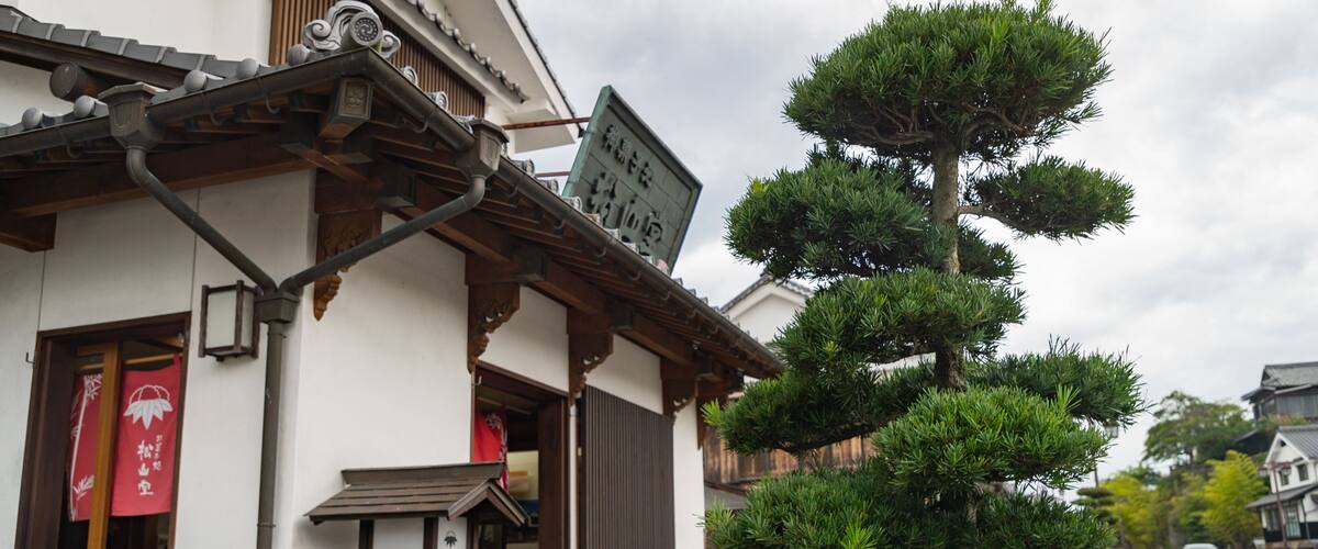 A traditional Japanese building with a wooden facade, a red banner, and a well-maintained pine tree in front.