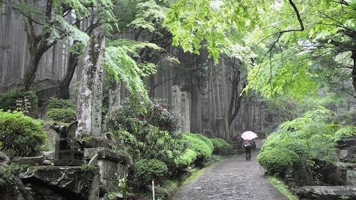Driving around Oita Prefecture, we stopped at Futagoji Temple (Temple of the Twins). The forests are deep and lush, the feeling here is peace. To date: the most beautiful place I have visited in Japan.