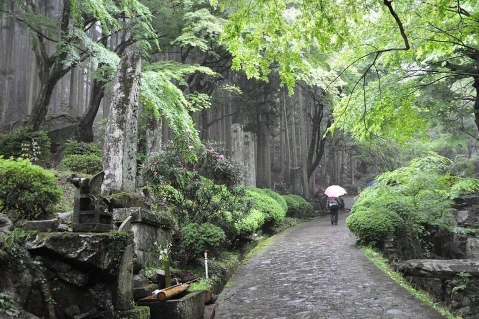 A stone pathway in a forested area with moss-covered trees and a person walking with an umbrella.