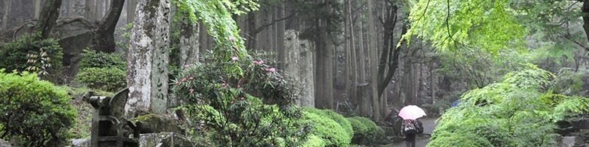 Driving around Oita Prefecture, we stopped at Futagoji Temple (Temple of the Twins). The forests are deep and lush, the feeling here is peace. To date: the most beautiful place I have visited in Japan.