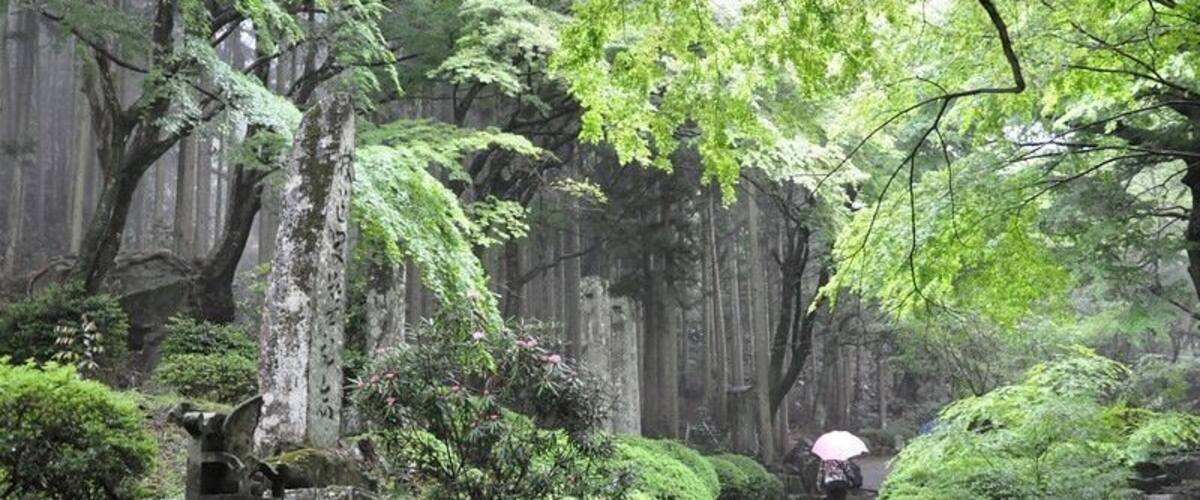 A stone pathway in a forested area with moss-covered trees and a person walking with an umbrella.
