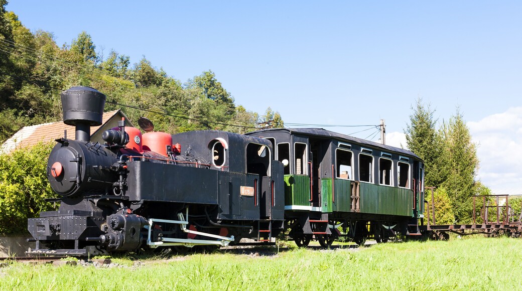 steam locomotive, Viglas, Slovakia