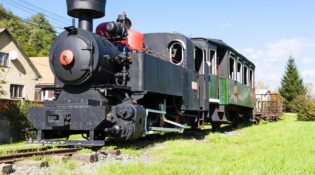 steam locomotive, Viglas, Slovakia