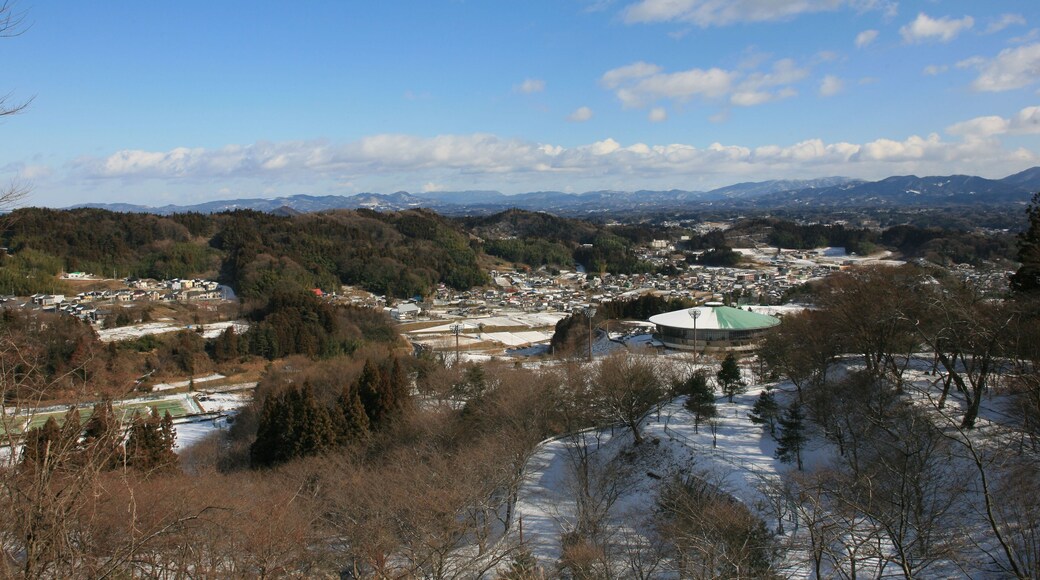 äșæŹæŸćïŒéă¶ćïŒăăăźéąšæŻ