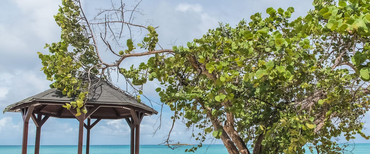 A beach with a wooden gazebo and benches, surrounded by trees and the ocean.