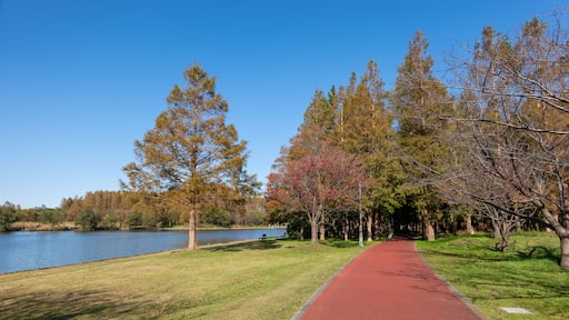 Misato Park in Japan Saitama, autumn colours; Shutterstock ID 1568775472; Purchase Order: -