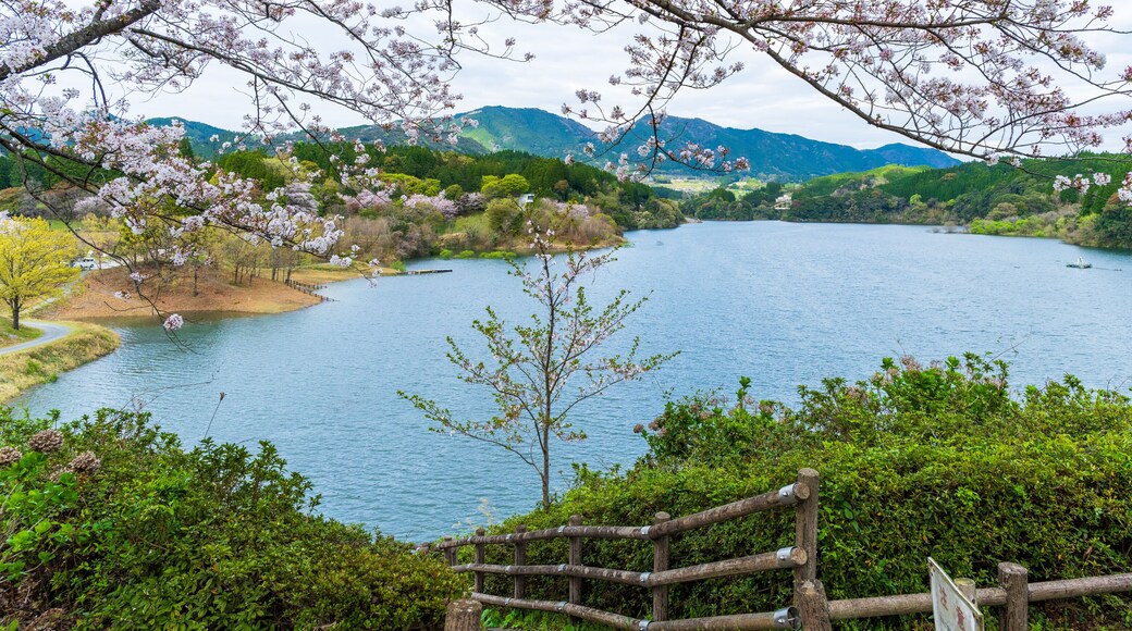 ダム湖の風に揺れる桜の木と公園風景
Park scenery with cherry blossom trees swaying in the wind of the dam lake
日本(春)2023年
Japan (Spring) 2023
九州・熊本県美里町
Misato Town, Kumamoto Prefecture, Kyushu
「緑川ダム」