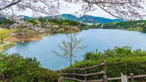 มิซาโตะ