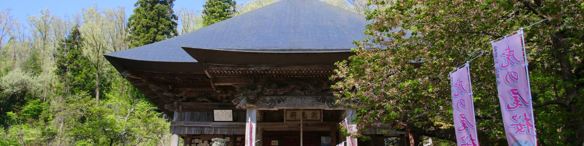 法用寺の虎の尾桜(福島県・会津美里町)