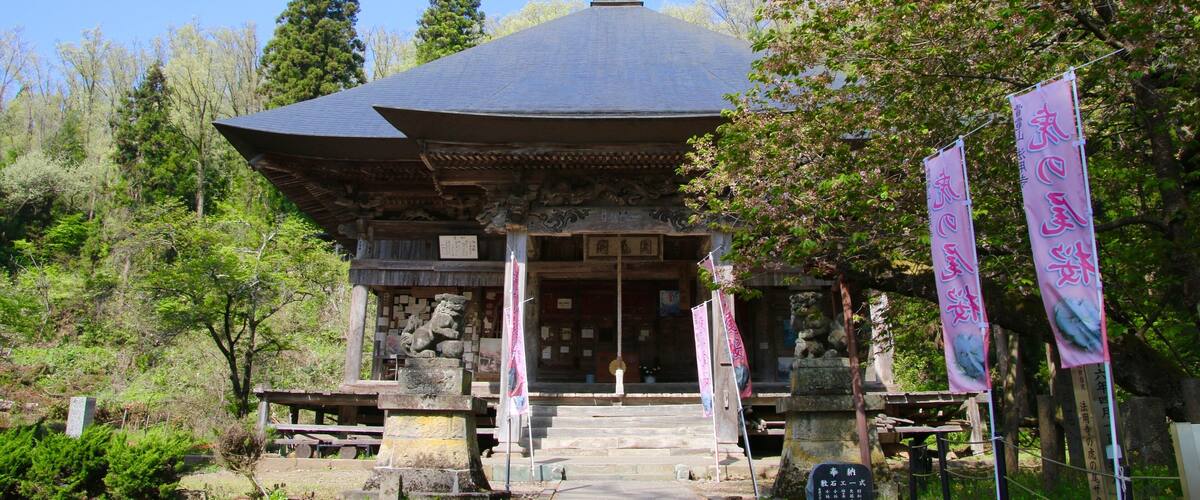 法用寺の虎の尾桜(福島県・会津美里町)