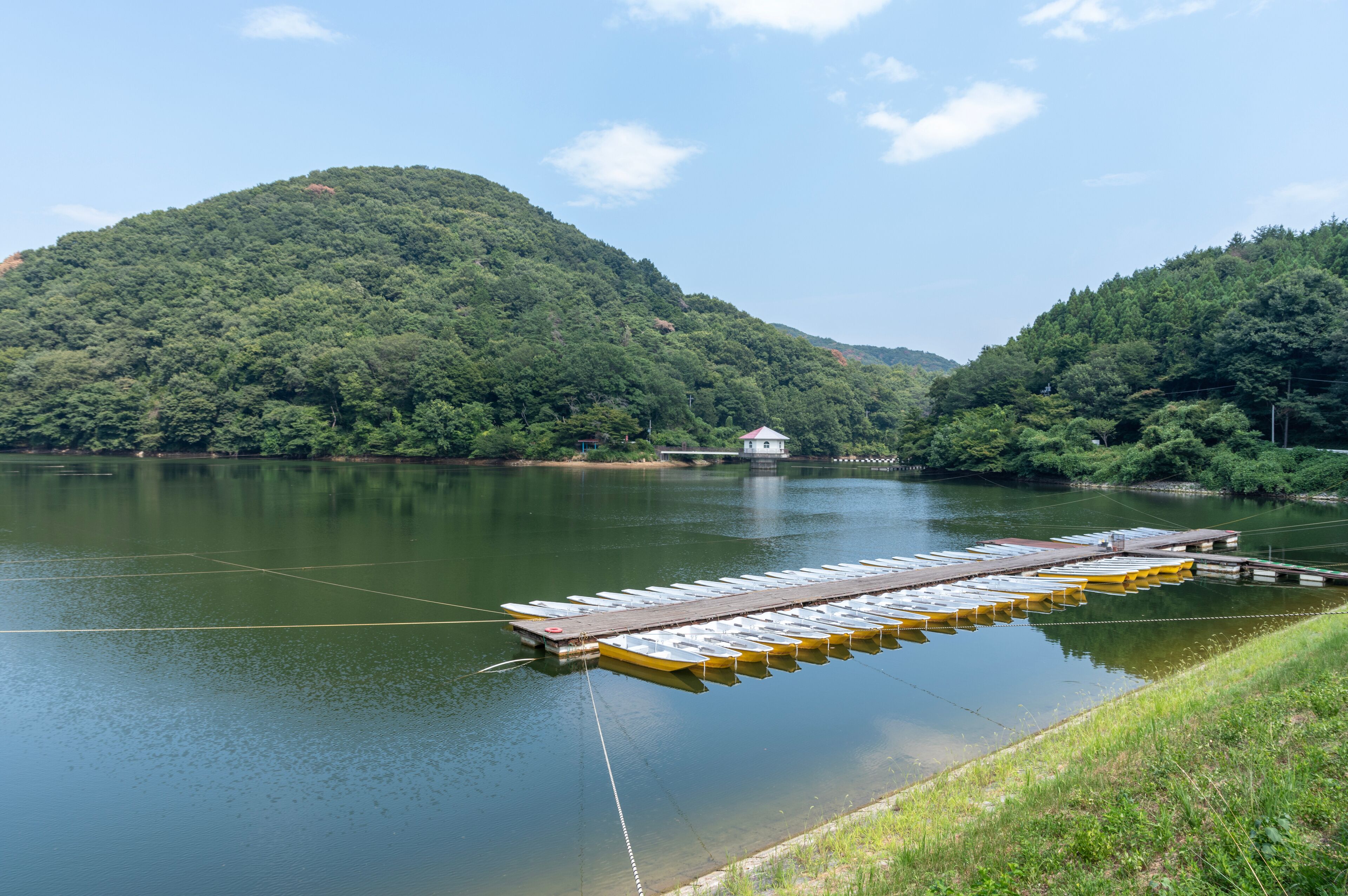 夏の円良田湖の静かな湖面に並ぶ釣り船
