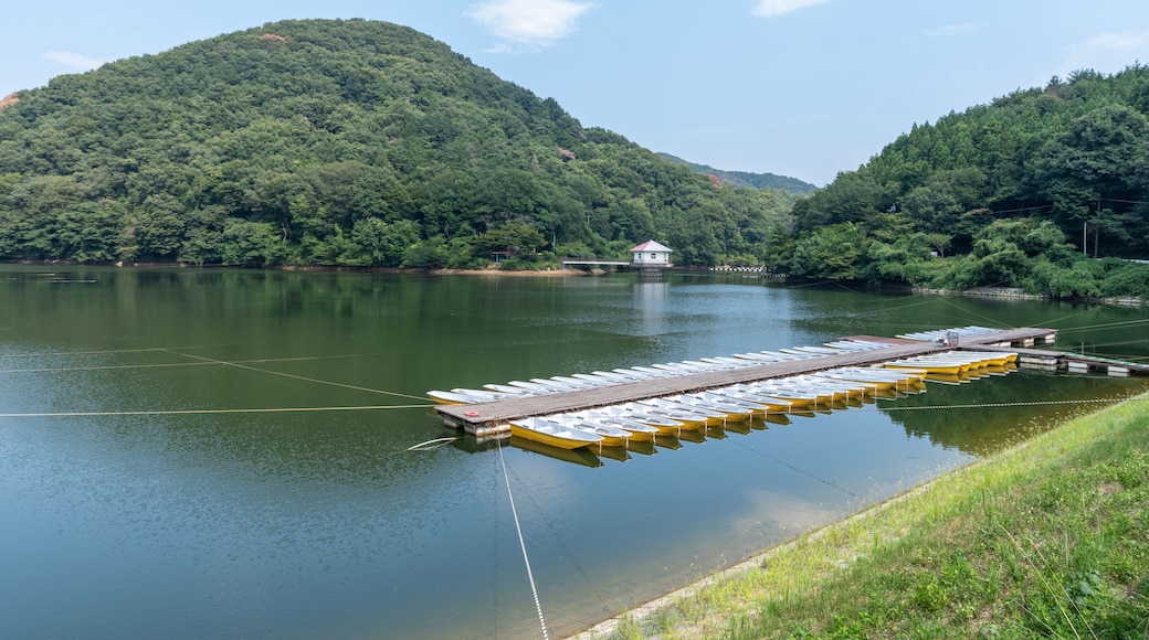 夏の円良田湖の静かな湖面に並ぶ釣り船