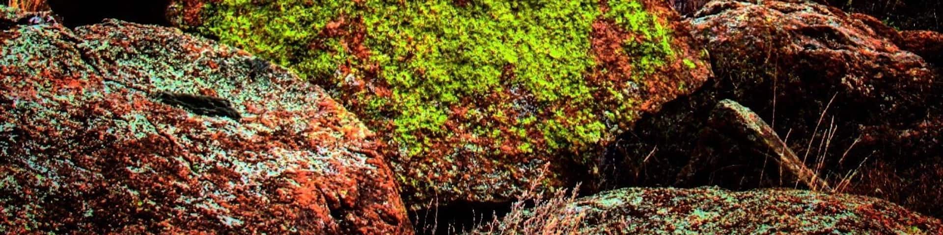 Baldy Point Climbing Area. #green