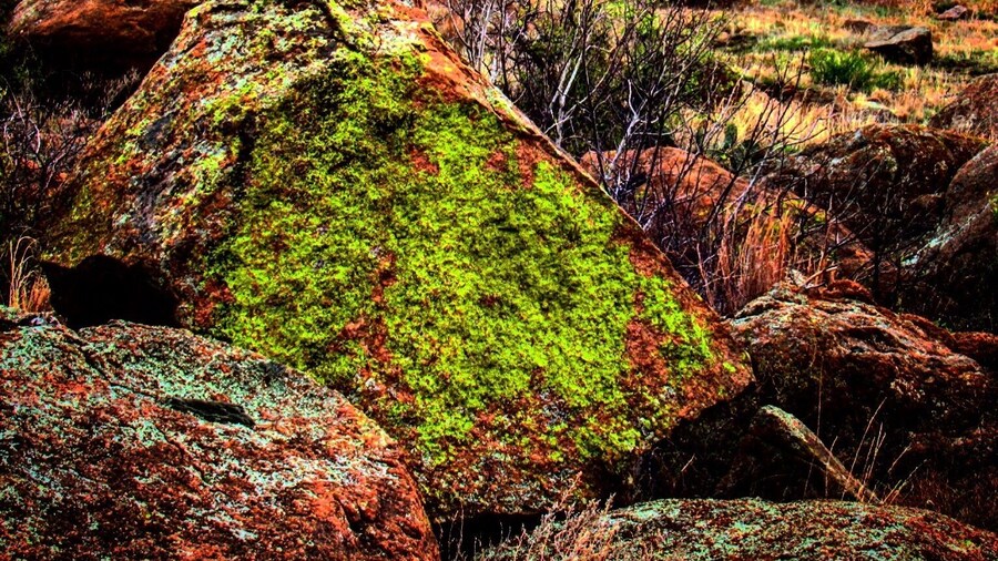 Baldy Point Climbing Area. #green