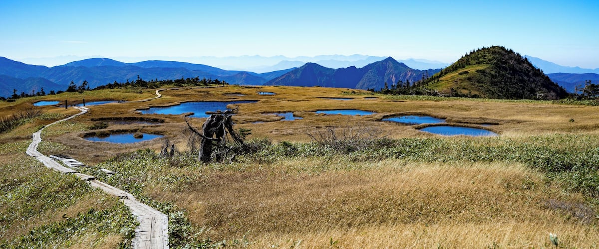 A scenic landscape with a wooden trail, wetlands, and distant mountains under a clear blue sky.