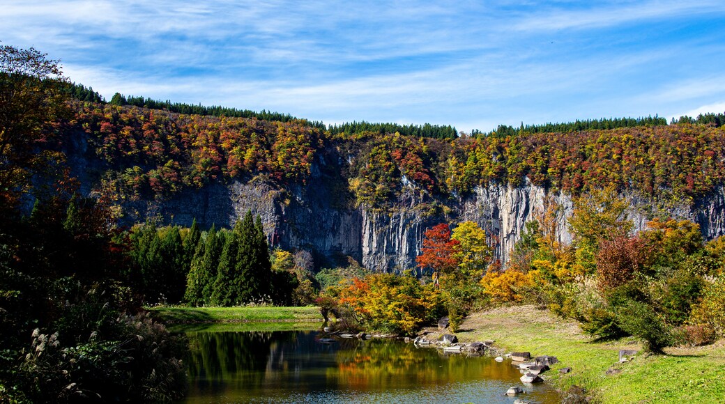 View of the magnificent autumn leaves on the river terraces of Akiyamago.