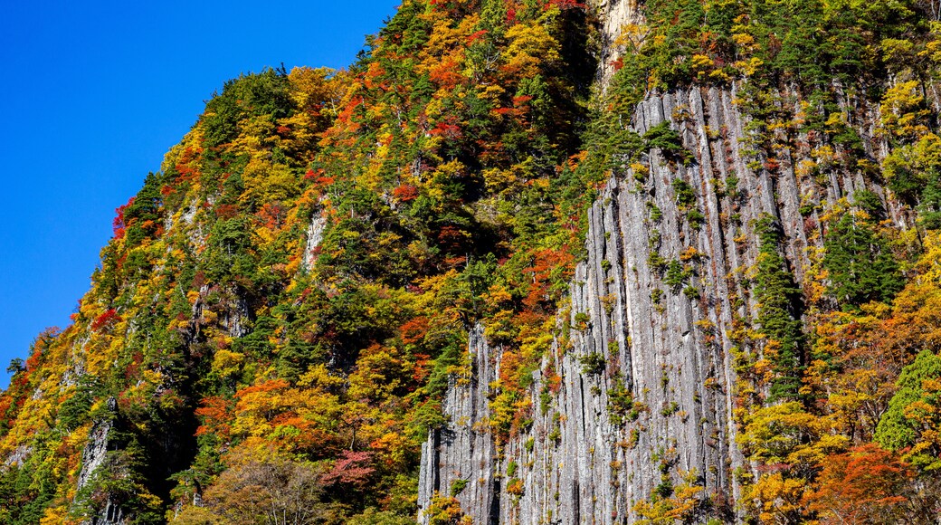 Beautiful autumnal scenery of Nunoiwa in Akiyamago.