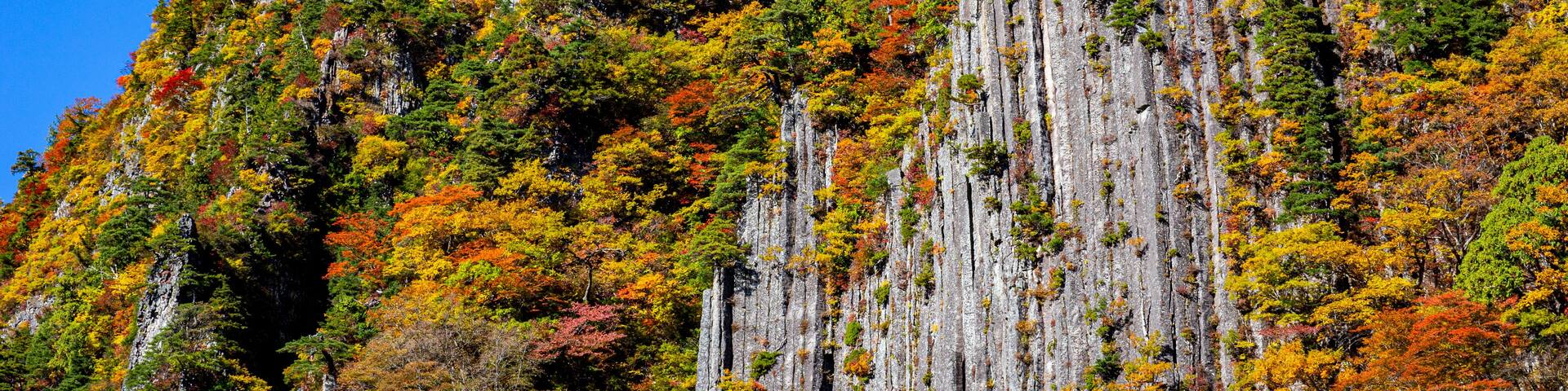 A mountain with a steep rocky face and a dense forest of autumn-colored trees.