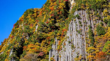 Una montagna con una parete rocciosa ripida e una fitta foresta di alberi dai colori autunnali.