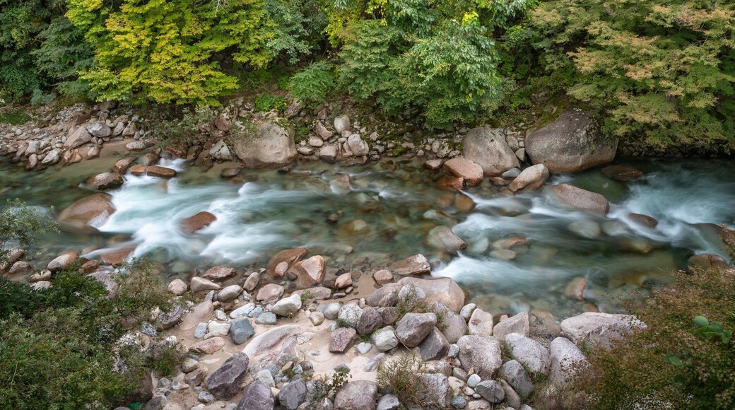 Nagiso showing a river or creek