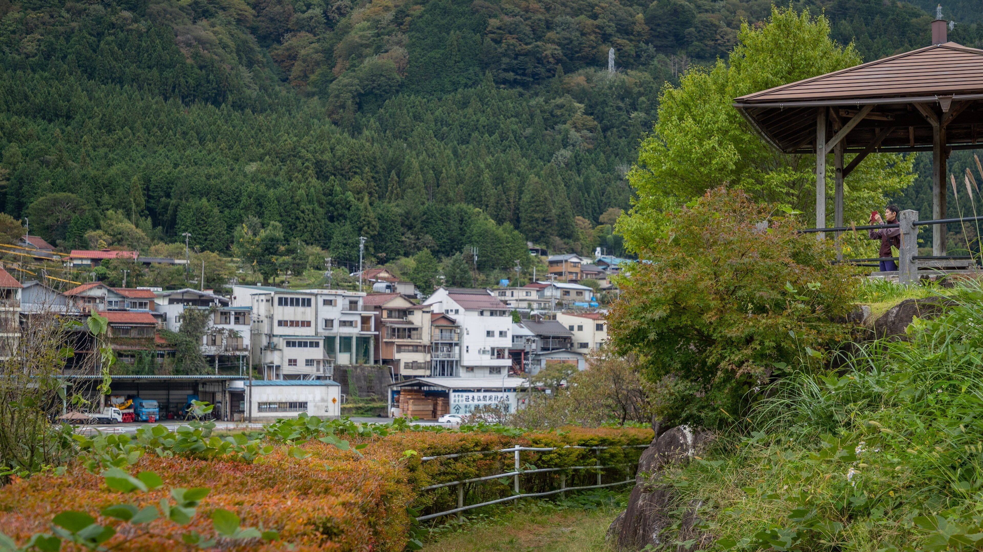 Nagiso featuring a small town or village