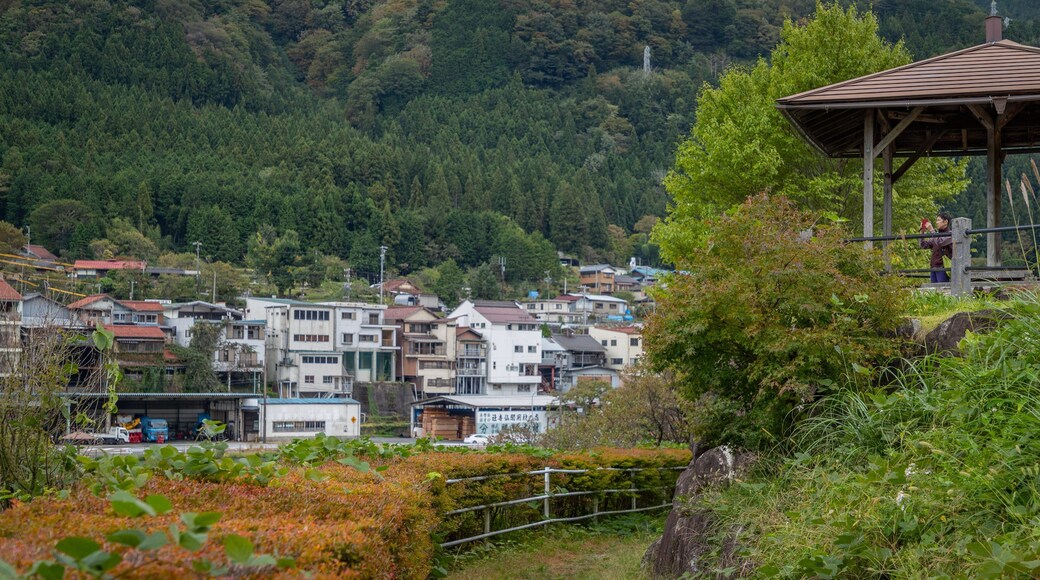 Nagiso featuring a small town or village