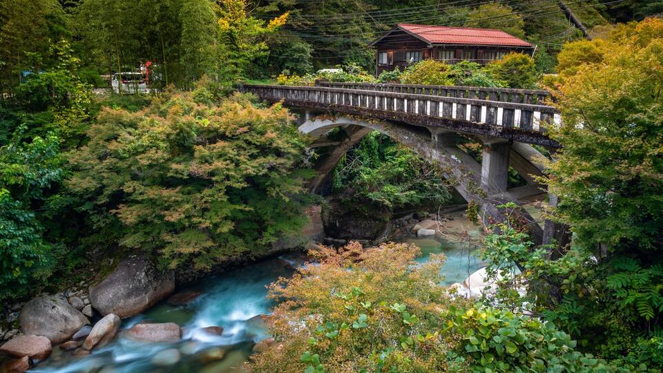 A stone bridge over a flowing river surrounded by dense greenery.