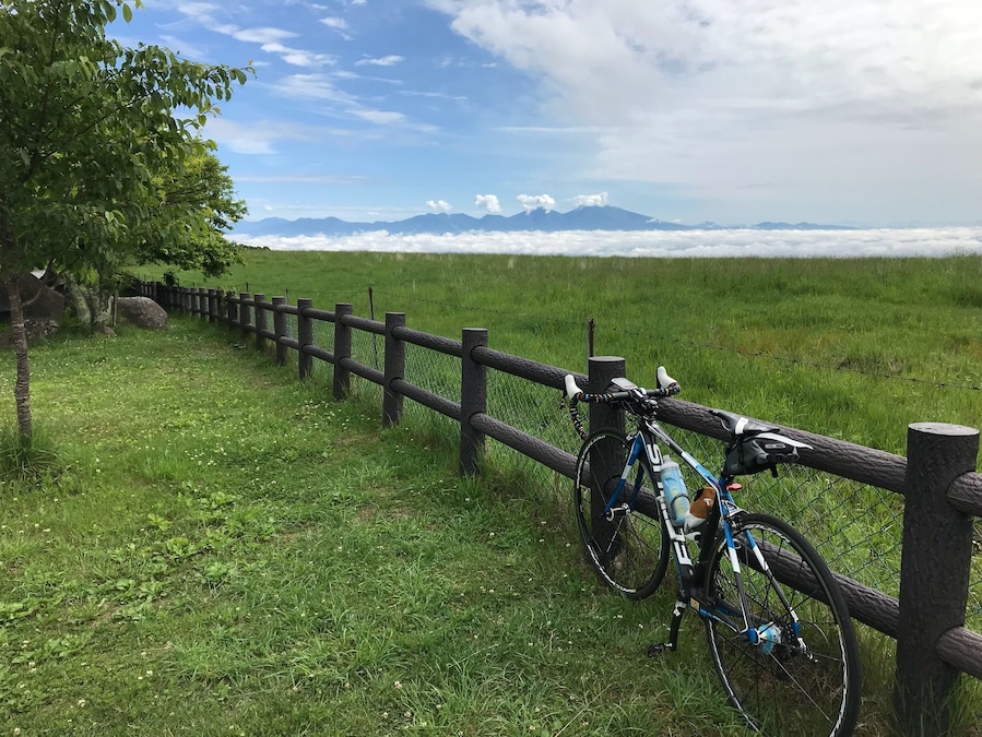 牧場の先は雲海