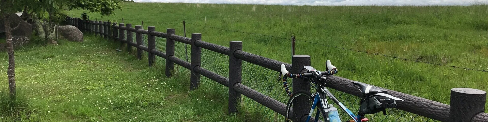牧場の先は雲海