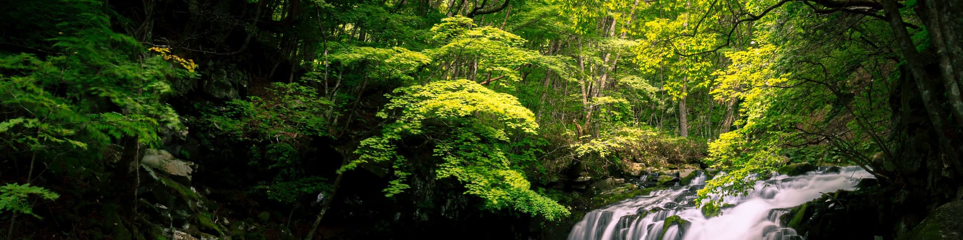 nagano japan
tateshina waterfall