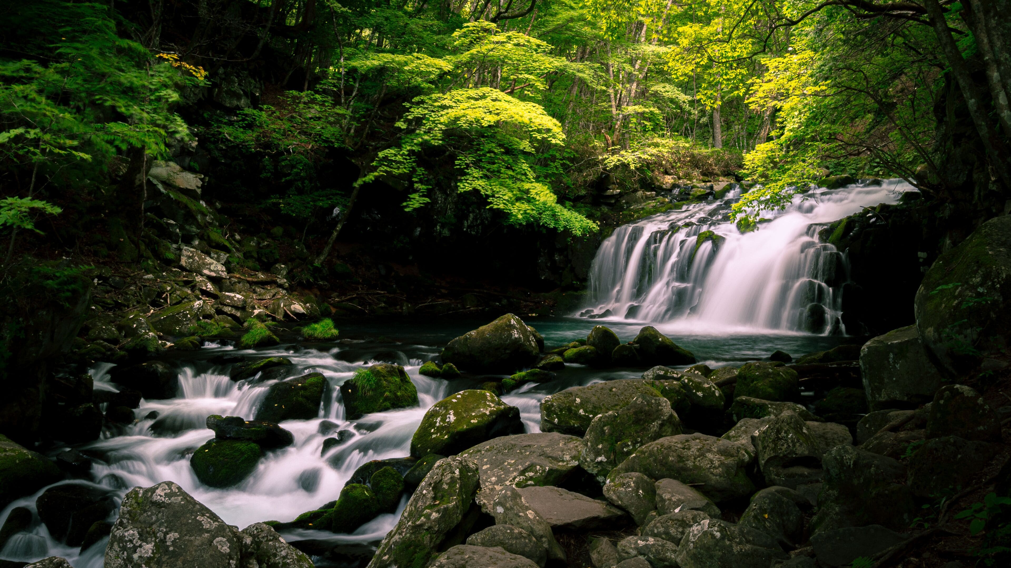 A waterfall cascading over rocks in a forested area.