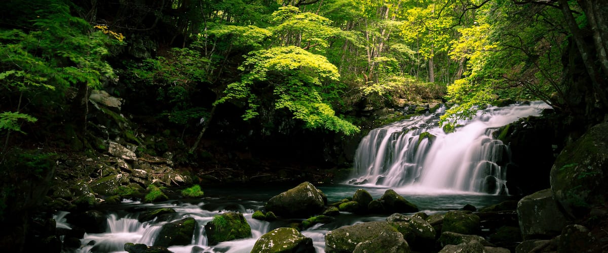 A waterfall cascading over rocks in a forested area.