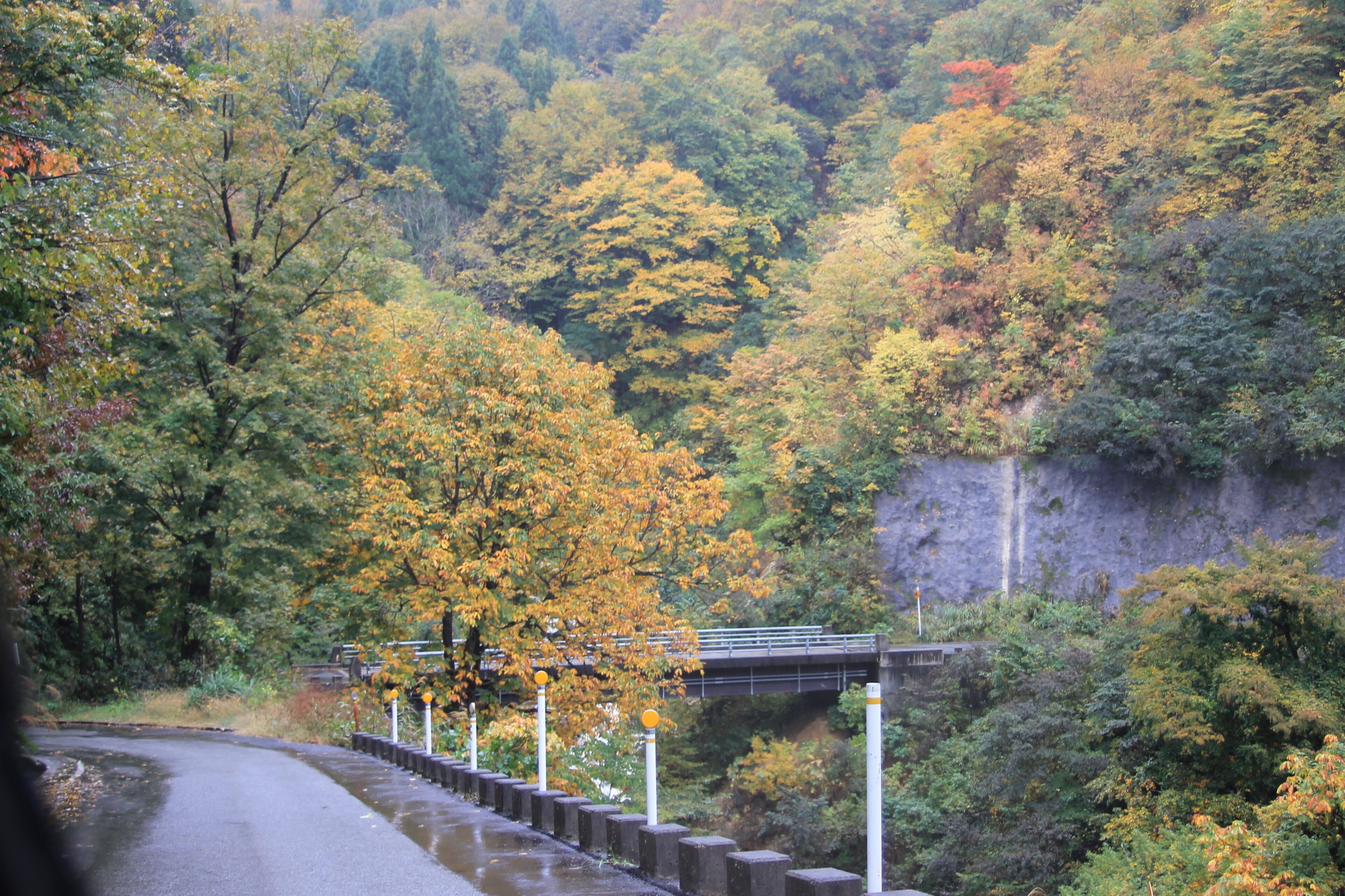 Akinari, Tsunan, Nakauonuma District, Niigata Prefecture 949-8313, Japan