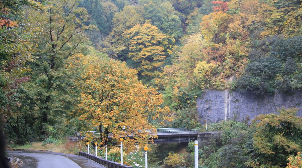 Akinari, Tsunan, Nakauonuma District, Niigata Prefecture 949-8313, Japan