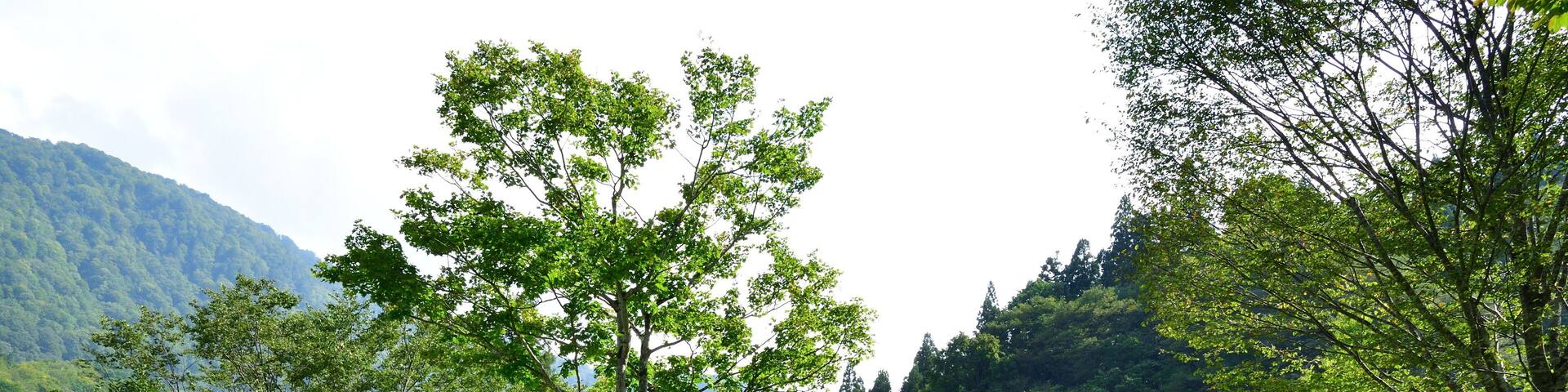 結東じゃまくら石公園(新潟県)