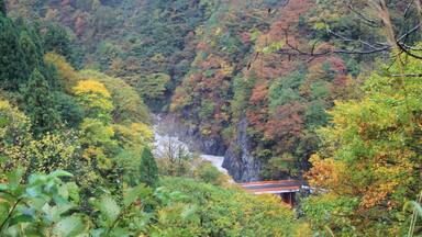 Oakasawa, Tsunan, Nakauonuma District, Niigata Prefecture 949-8317, Japan