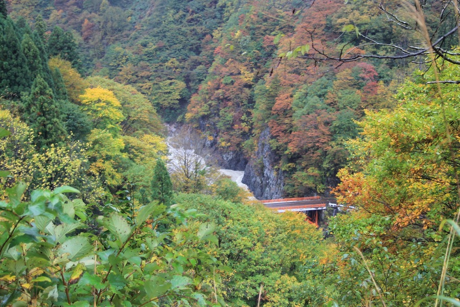 Oakasawa, Tsunan, Nakauonuma District, Niigata Prefecture 949-8317, Japan