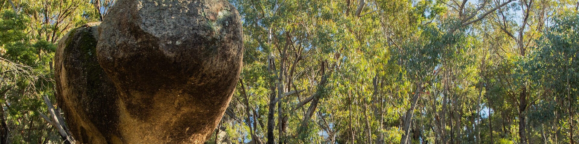 Girraween National Park featuring tranquil scenes