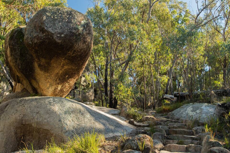 A natural landscape with large boulders, a forested area, and a stone staircase.