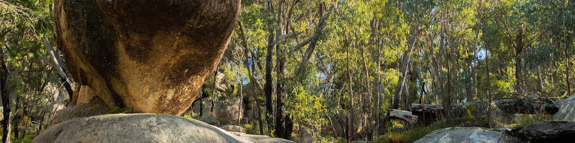 Girraween National Park featuring tranquil scenes