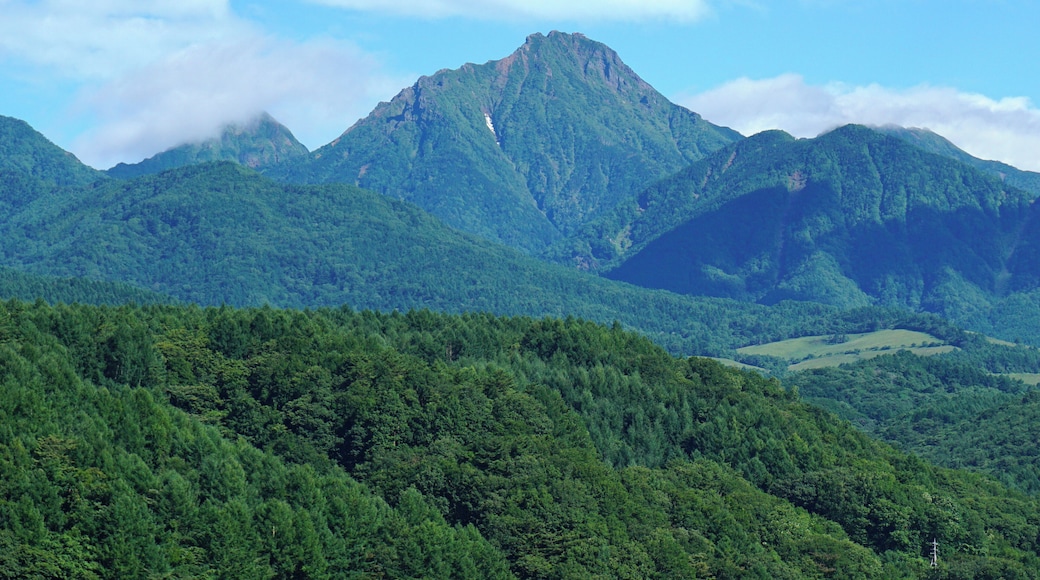 At Yatsugatake Kogen Ohashi Bridge in Hokuto, Yamanashi prefecture, Japan.