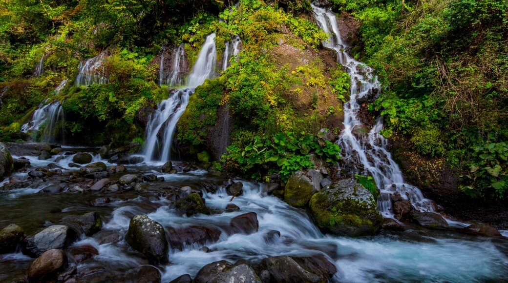 山梨 北杜 吐竜の滝