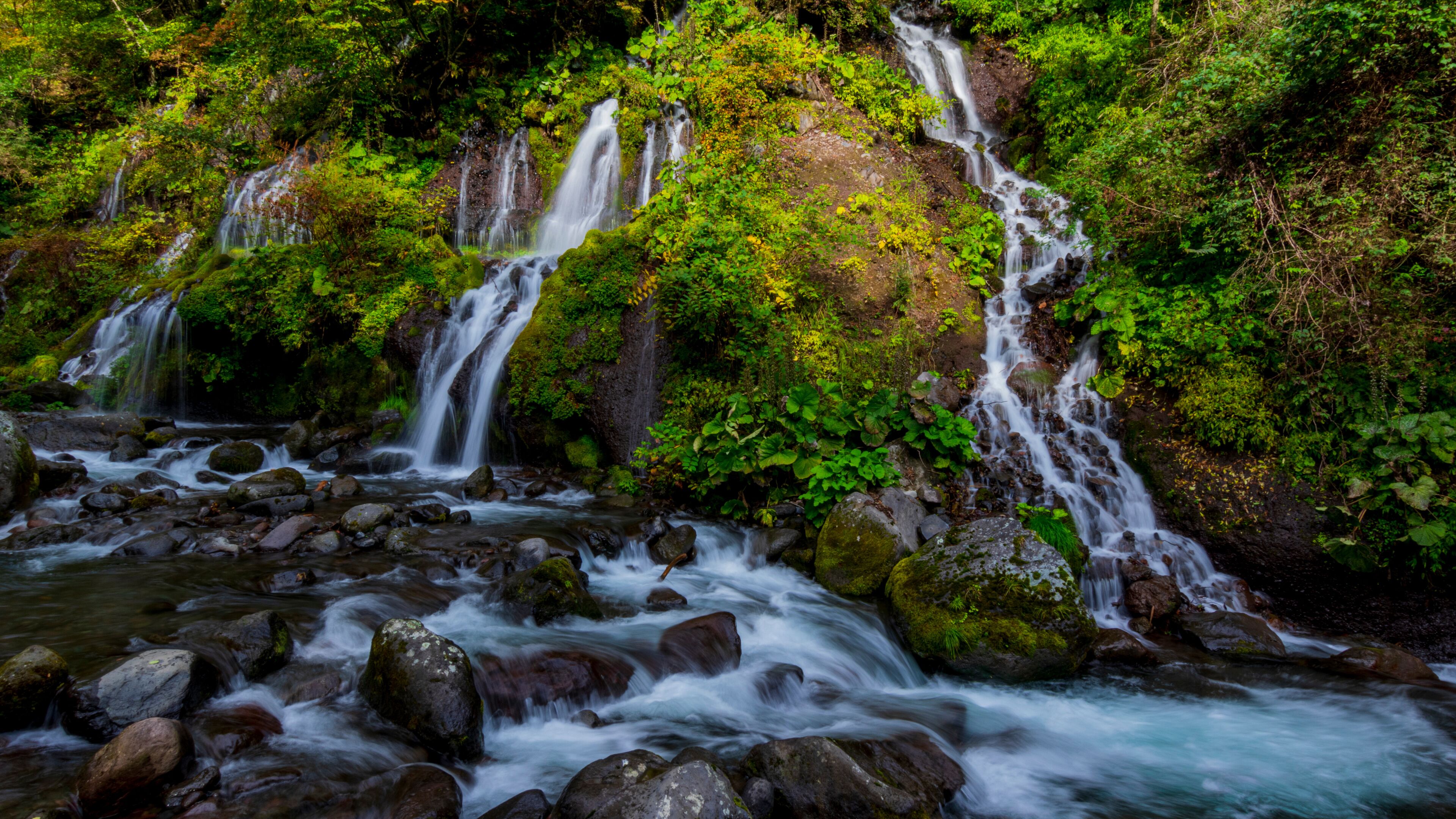 A waterfall cascading over rocks in a lush, green forest.