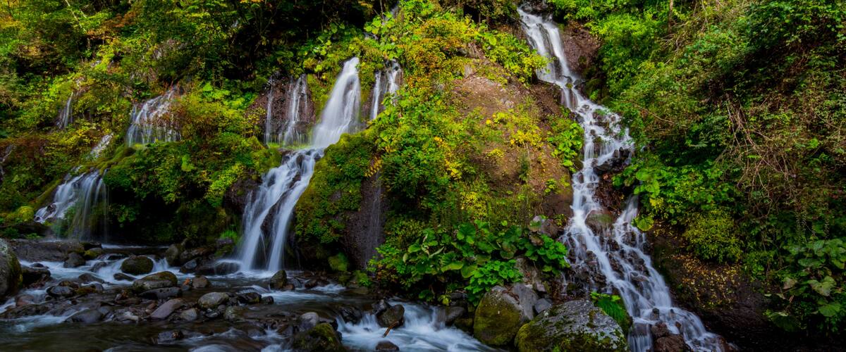 A waterfall cascading over rocks in a lush, green forest.