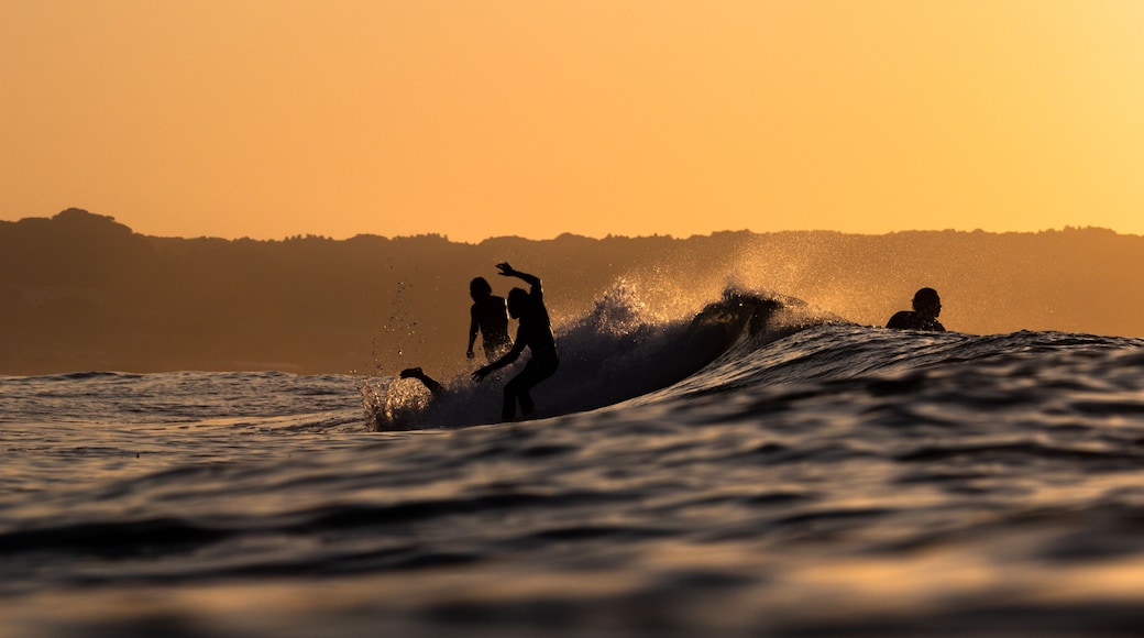 Surfing at sunrise & sunset in Japan Silhouettes of the Surfers taken while swimming in the Pacific Ocean.