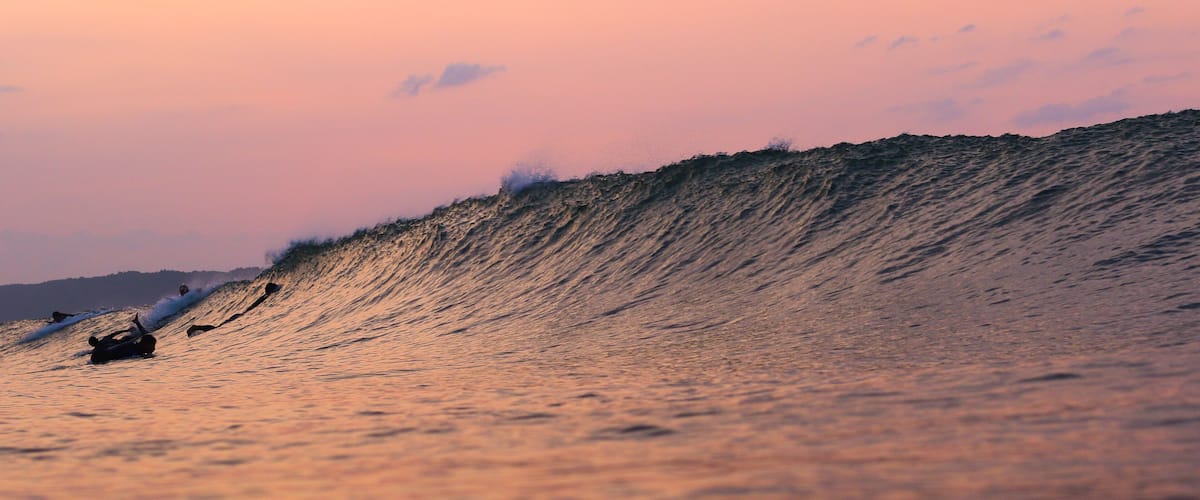 A large wave with surfers riding it.