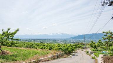 Peach Orchard, Kyodogawa Alluvial fan, Ichinomiya, Fuefuki City,Yamanashi Prefecture, Japan