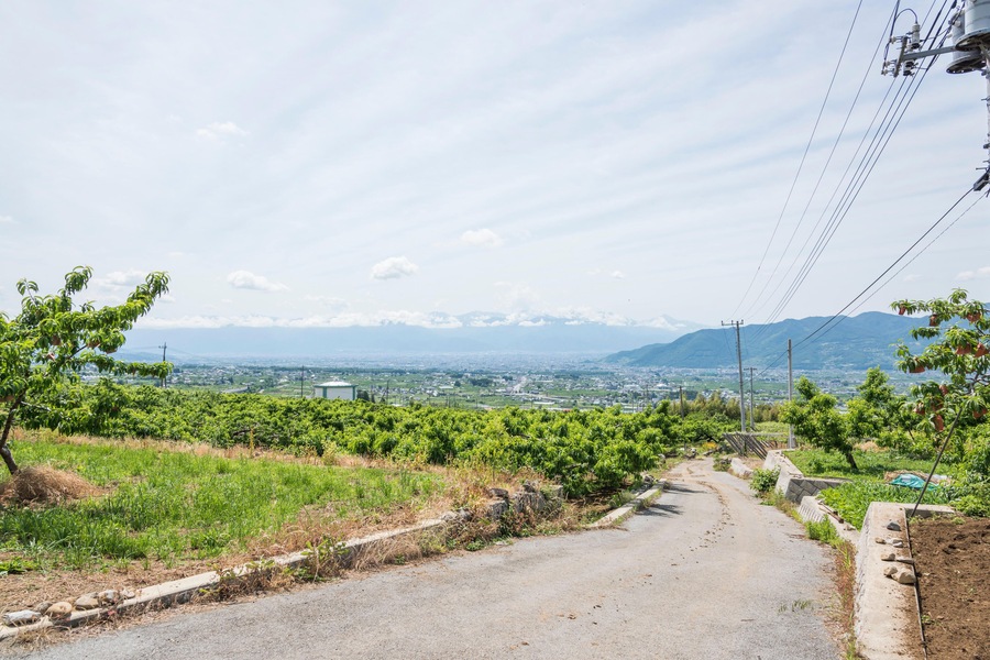 Peach Orchard, Kyodogawa Alluvial fan, Ichinomiya, Fuefuki City,Yamanashi Prefecture, Japan