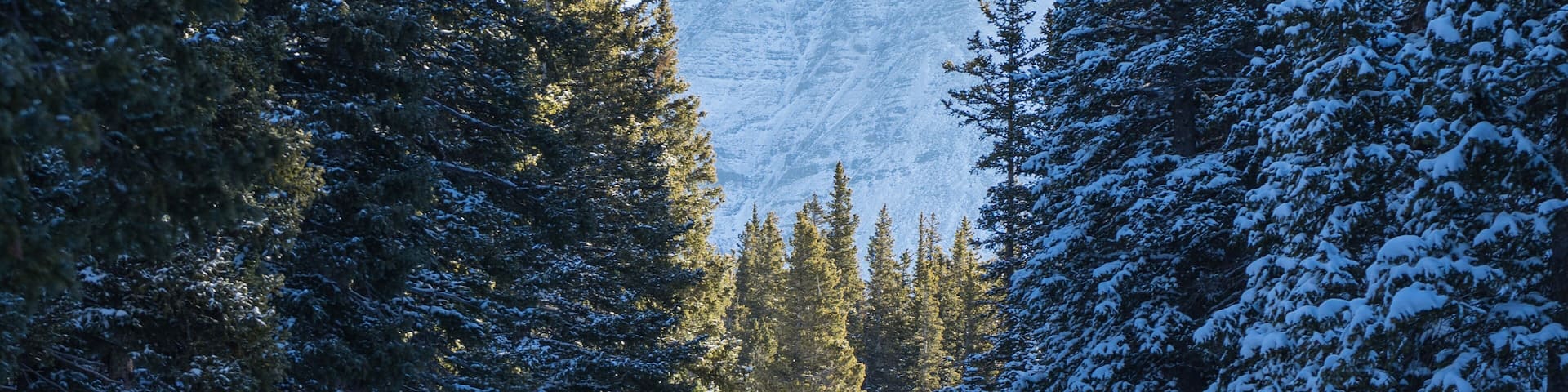 The approach to West Spanish Peak via Cordova Pass. This peak and its eastern sister dominate the skyline as you drive south through Colorado on I-25. #BVSquad #BVSBlue